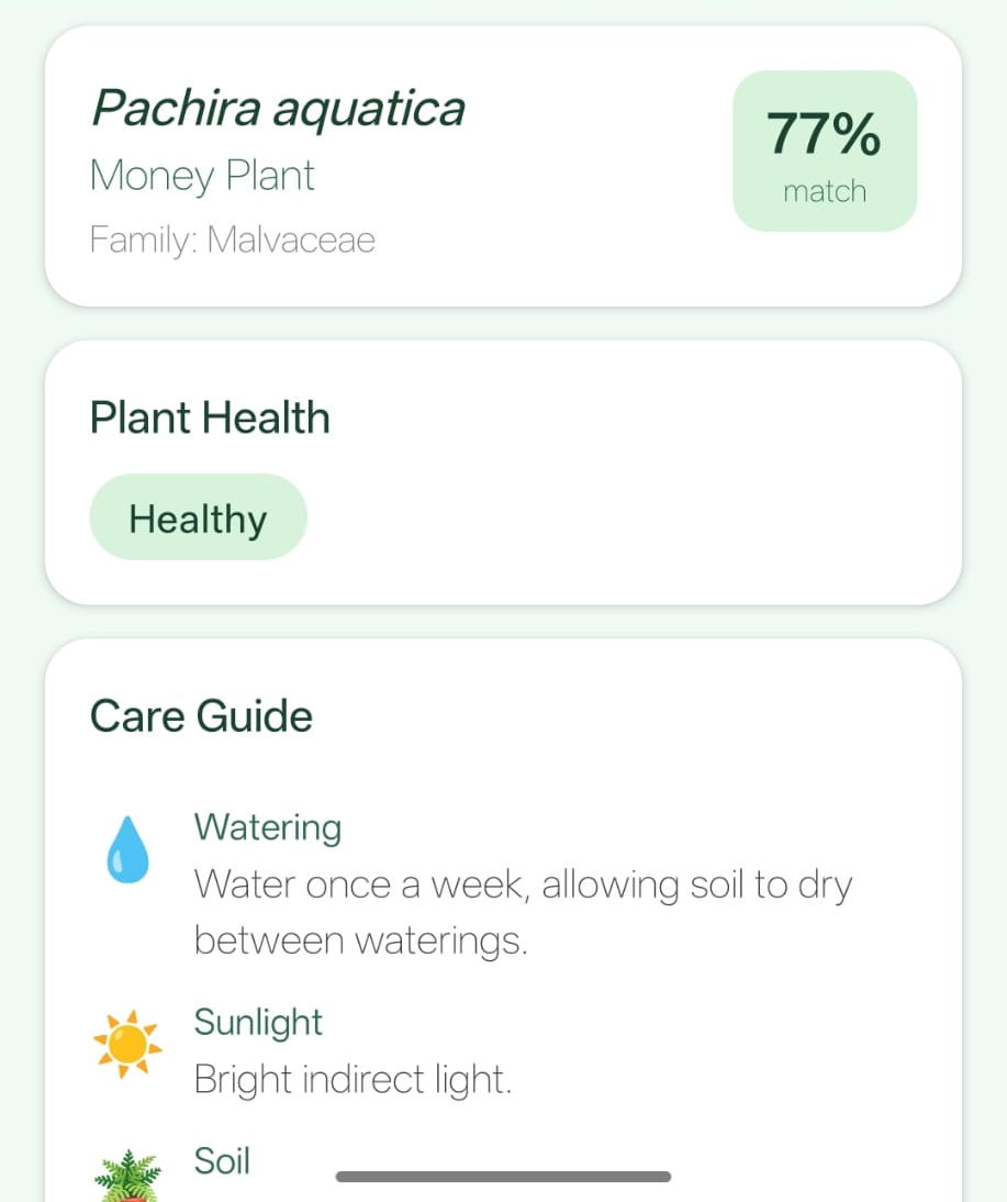 PlantFinder: AI-Powered Plant Identification App